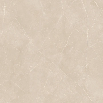 Керамогранит  NL01 60x60x10 Непол.Рект. (Керамический гранит) _7
