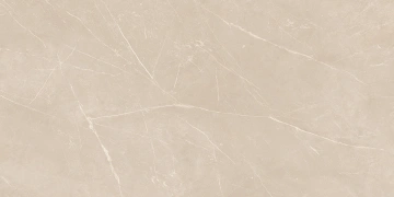 Керамогранит  NL01 60x60x10 Непол.Рект. (Керамический гранит) _7