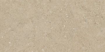 Керамогранит  BR02 80x160x11 Непол.Рект. (Керамический гранит) _6