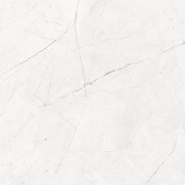 Керамогранит NL00 80x80x10 Непол.Рект. (Керамический гранит)-13
