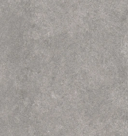 Керамогранит  BG00 19,4x120x10 Непол.Рект. (Керамический гранит) _5