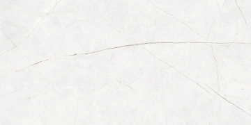 Керамогранит  NL00 60x60x10 Непол.Рект. (Керамический гранит) _2