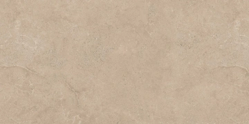 Керамогранит  RF01 14,6x60x8 Структур.Рект. (Керамический гранит) _2