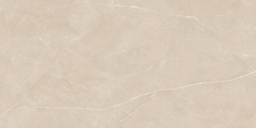 Керамогранит  KW04 19,4x120x10 Структур.Рект. (Керамический гранит) _4
