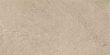 Керамогранит  RF01 14,6x60x8 Структур.Рект. (Керамический гранит) _3