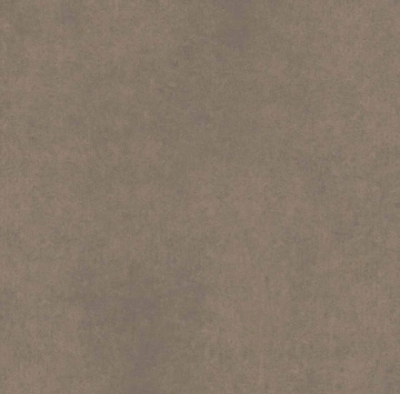 Керамогранит  CA00 60x60x20 Структур.Рект. (Керамический гранит) _10