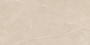 Керамогранит  EXM103 60x120x9 Непол.Рект. (Керамический гранит) _6