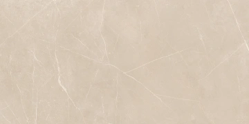 Керамогранит  NL01 60x60x10 Непол.Рект. (Керамический гранит) _9
