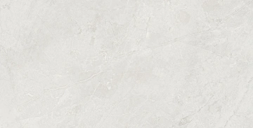 Керамогранит  TE04 60x120x10 Непол.Рект. (Керамический гранит) _4