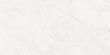 Керамогранит  EXM101 60x120x9 Непол.Рект. (Керамический гранит) _4