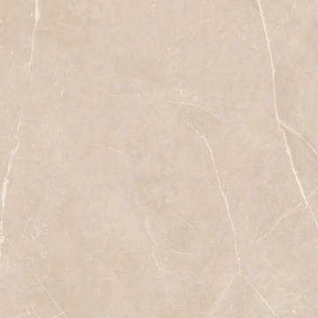 Керамогранит  NL00 60x60x10 Полир. (Керамический гранит) _9