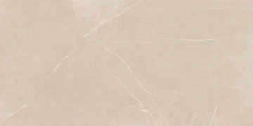 Керамогранит  NL01 60x60x10 Непол.Рект. (Керамический гранит) _1