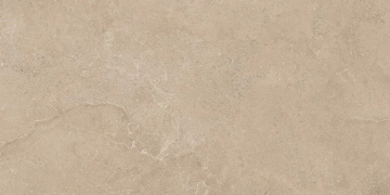 Керамогранит  RF01 14,6x60x8 Структур.Рект. (Керамический гранит) _5