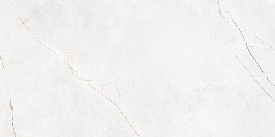 Керамогранит NL00 60x120x10 Полир. (Керамический гранит) — лицо плитки 7