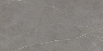 Керамогранит  NL03 60x60x10 Непол.Рект. (Керамический гранит) _5