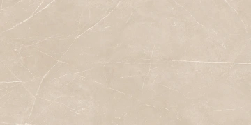 Керамогранит  NL01 60x60x10 Непол.Рект. (Керамический гранит) _4