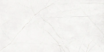 Керамогранит  EXM101 60x120x9 Непол.Рект. (Керамический гранит) _2