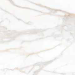 Керамогранит SM02 60x60x10 Полир. (Керамический гранит) #9