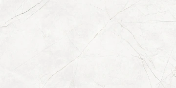 Керамогранит  NL00 60x60x10 Непол.Рект. (Керамический гранит) _1