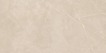 Керамогранит  KW04 19,4x120x10 Структур.Рект. (Керамический гранит) _3