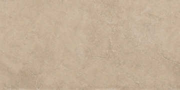 Керамогранит  RF01 14,6x60x8 Структур.Рект. (Керамический гранит) _1