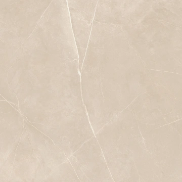 Керамогранит  NL01 60x60x10 Непол.Рект. (Керамический гранит) _3
