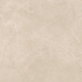 Керамогранит  NL04 60x120x10 Непол.Рект. (Керамический гранит) _5