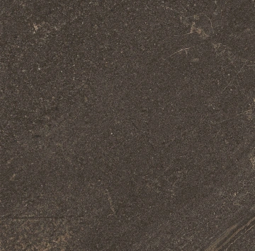 Керамогранит  BG01 19,4x120x10 Непол.Рект. (Керамический гранит) _20