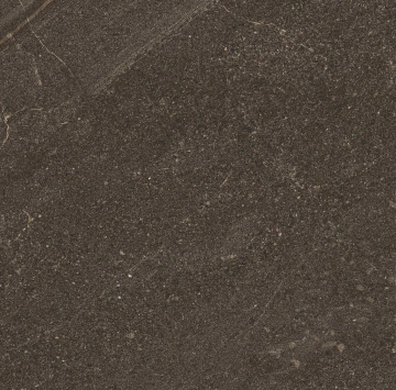 Керамогранит  BG01 19,4x120x10 Непол.Рект. (Керамический гранит) _22