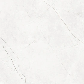 Керамогранит  NL00 60x60x9 Полир. (Керамический гранит) _4