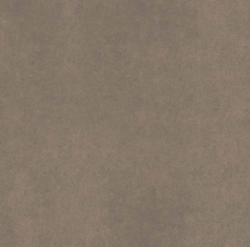 Керамогранит CA04 60x60x10 Непол.Рект. (Керамический гранит)-11