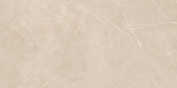 Керамогранит  NL01 60x60x10 Непол.Рект. (Керамический гранит) _3