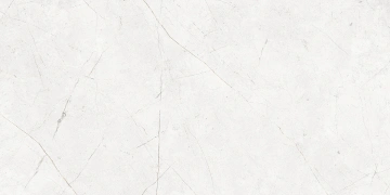 Керамогранит  EXM101 60x120x9 Непол.Рект. (Керамический гранит) _1