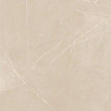 Керамогранит  NL01 60x60x10 Непол.Рект. (Керамический гранит) _2