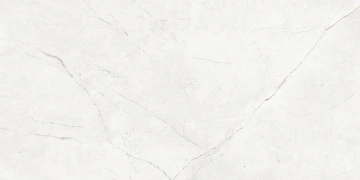Керамогранит  EXM101 60x120x9 Непол.Рект. (Керамический гранит) _7