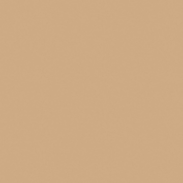 Керамогранит  RW09 30x30 Непол. (Керамический гранит) 