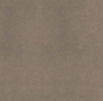 Керамогранит  CA00 60x60x20 Структур.Рект. (Керамический гранит) _6